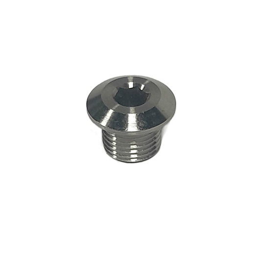 Schraube Ti_M10x1x8,5_ HEX5